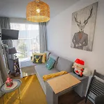 Lazy Deer - Camp * Staniszow