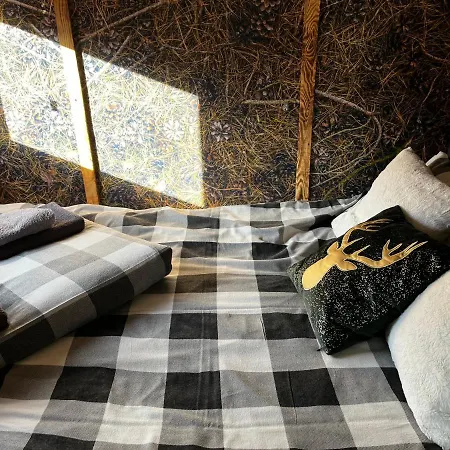 Lazy Deer - Camp * Staniszow