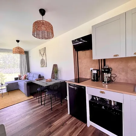 Lazy Deer - Camp Staniszow