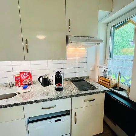 Lazy Deer - Camp Staniszow