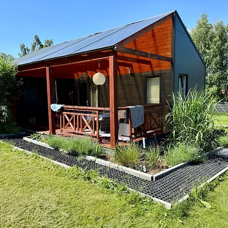 Lazy Deer - Camp *