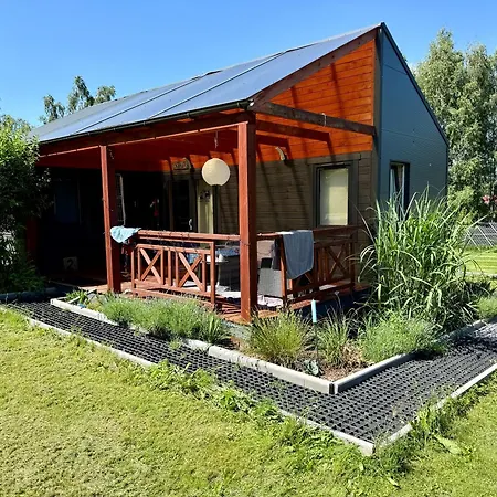 Lazy Deer - Camp *