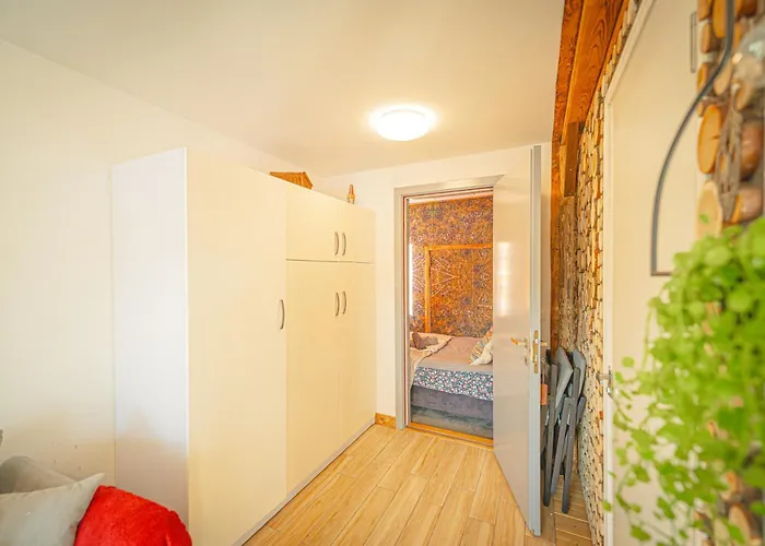 Lazy Deer - Camp * Staniszów